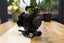 Z Cam E2 F6 full frame 6k cinema camera fully rigged with accessories Carousel 3