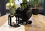 Z Cam E2 F6 full frame 6k cinema camera fully rigged with accessories Carousel 6