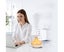700ml USB Desktop Cool Mist Quiet Air Humidifiers With Night Light-White Carousel 5