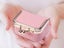 Mini Leather Jewelry Box Coin Purse Jewelry Case With Kiss Lock Pink Carousel 4