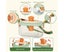 Bug Catcher kit for Kids - Outdoor Explorer Kit with Insect Box,Binocu Carousel 5