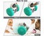 Pet Treat Dispenser Enrichment Toys Puppy Interactive Puzzle Toys for Carousel 6