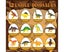 12 Pack Dino Eggs Dig Kit,Dig Up Dinosaur Fossil Eggs, Break Open 12 U Carousel 3