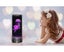 LED Jellyfish Lamp Round with Vibrant 5 Color Changing Light Effects. The Ult Carousel 3