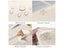 8Pcs Waterproof Travel Luggage Bags Clothes Packing Cube Organizer (Beige) Carousel 4