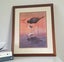 +++ PIERS HAYMAN 1985 " BLACK STILT" EDITION 1366/2000 PRINT +++ Carousel 2