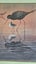 +++ PIERS HAYMAN 1985 " BLACK STILT" EDITION 1366/2000 PRINT +++ Carousel 10