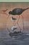 +++ PIERS HAYMAN 1985 " BLACK STILT" EDITION 1366/2000 PRINT +++ Carousel 11