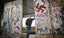 Mounted Display of an ACTUAL PIECE of the BERLIN WALL PINK FLOYD Fan Interest? Carousel 10