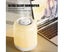 3L Cool Mist Humidifier with Two Nozzles Four Mist Levels Desktop Plant Humid Carousel 4