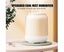 3L Cool Mist Humidifier with Two Nozzles Four Mist Levels Desktop Plant Humid Carousel 5