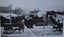 Loading Image 10 of 10