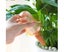 Plant Waterer Bird Shape Self Watering Bulbs Transparent Clear Plant W Carousel 1