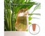 Plant Waterer Bird Shape Self Watering Bulbs Transparent Clear Plant W Carousel 3