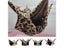Small Pet Bed Carousel 3