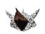Small Pet Bed Carousel 6
