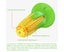Dog Chew Toys Corn Suction Cup Dog Toy Interactive Molar Bite Toy with Carousel 5