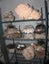 SHELVES METAL GALVANISED HOT DIP W WHEEL - MUSHROOM GROWING, CHILLER, GARDEN Carousel 4