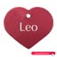 Pet Name Tag - "Leo" - Red Heart Carousel 1