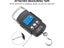 Digital Scales Carousel 10