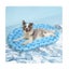 Loading Image 1 of 6