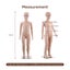 Kids Mannequin Full Body Manikin Model Dummy Carousel 4