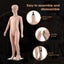 Kids Mannequin Full Body Manikin Model Dummy Carousel 5