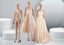 Female Mannequin Full Body Manikin Model Dummy Carousel 1