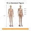 Female Mannequin Full Body Manikin Model Dummy Carousel 4