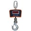 Weigh Hanging Scale 1000kg Carousel 1