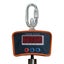 Weigh Hanging Scale 1000kg Carousel 2