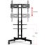 Loctek TV Cart 32"-65" Mobile Trolley, - Max Load 40kg - Height Adjustable Carousel 3
