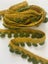 Vintage European Fringe - looped, Gold/Green- 2M Carousel 3