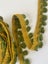 Vintage European Fringe - looped, Gold/Green- 2M Carousel 4