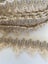 Vintage European Fringe - looped, Blue/Beige/Grey Ornamental Wave - 2M Carousel 1