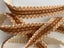Vintage European Trim - Brown/Caramel/Beige, geometric pattern - 2M Carousel 6