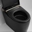 Intelligent Electric Smart Toilet Carousel 10