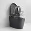 690x395x490mm One Piece Intelligent Electric Smart Toilet Carousel 3