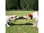 Dog Bite Stick Dog Bite The Target Agility Dog Training Equipment Dog Toys Carousel 4
