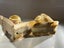Pair of Vintage Sleeping Mexican Onyx Stone Bookends Carousel 7