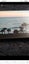 Loading Image 1 of 4