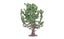 Model Scenery - Oak Tree 1 Carousel 1
