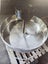 Hand Washing Tub Carousel 5