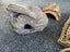 Bearded Dragon Accessories Carousel 4