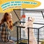 Dog Crate Cage Carousel 7