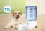 Pet Cat Dog Water Feeder Auto Carousel 1