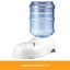 Pet Cat Dog Water Feeder Auto Carousel 9