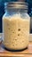 Organic Sourdough Starter Carousel 4