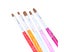 5Pcs Nail Art Brush Double Ended Nail Art Painting Drawing Brushes Set Carousel 6
