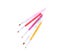 5Pcs Nail Art Brush Double Ended Nail Art Painting Drawing Brushes Set Carousel 8